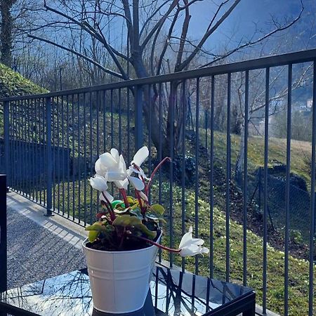 Apartament Casa Laura Zona Bellagio Magreglio Zewnętrze zdjęcie